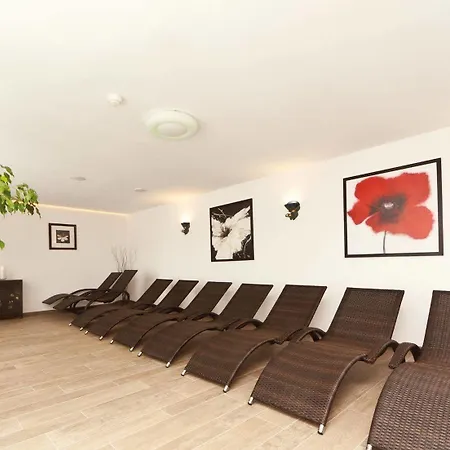 Otel Waldpark Garni 4*