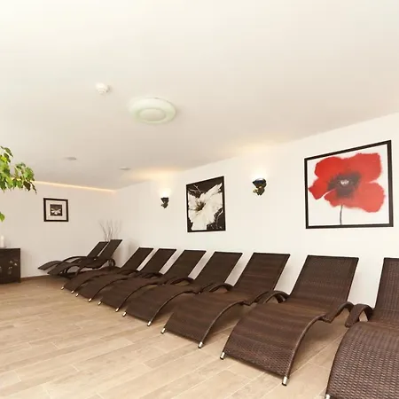 Otel Waldpark Garni 4*